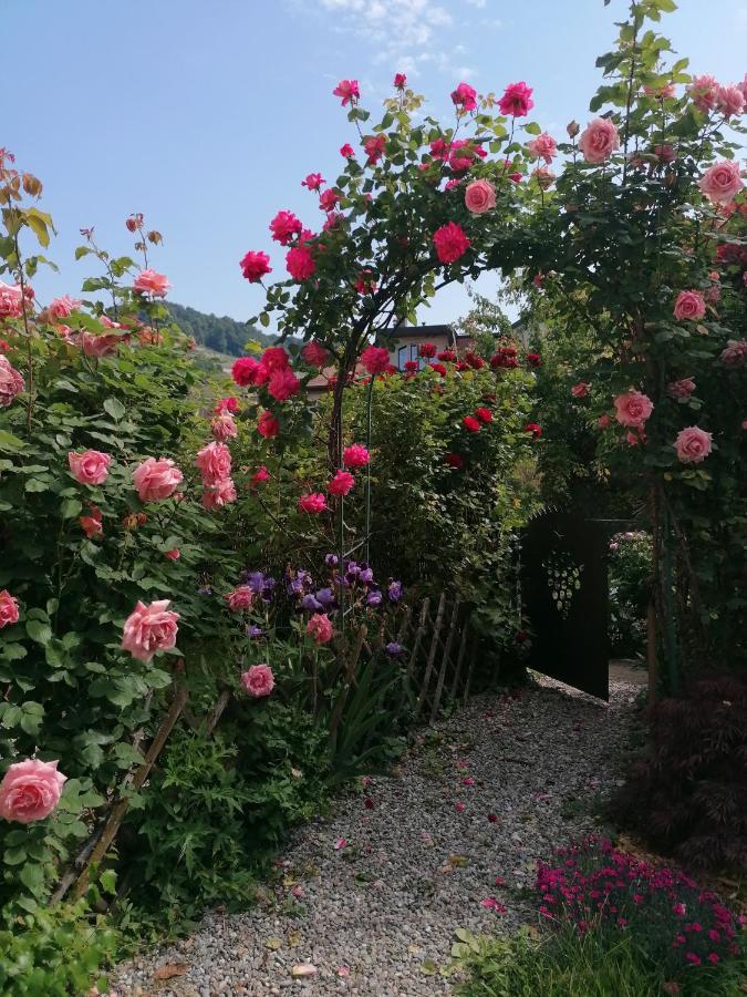 B&B 7E Art Vevey Exteriér fotografie